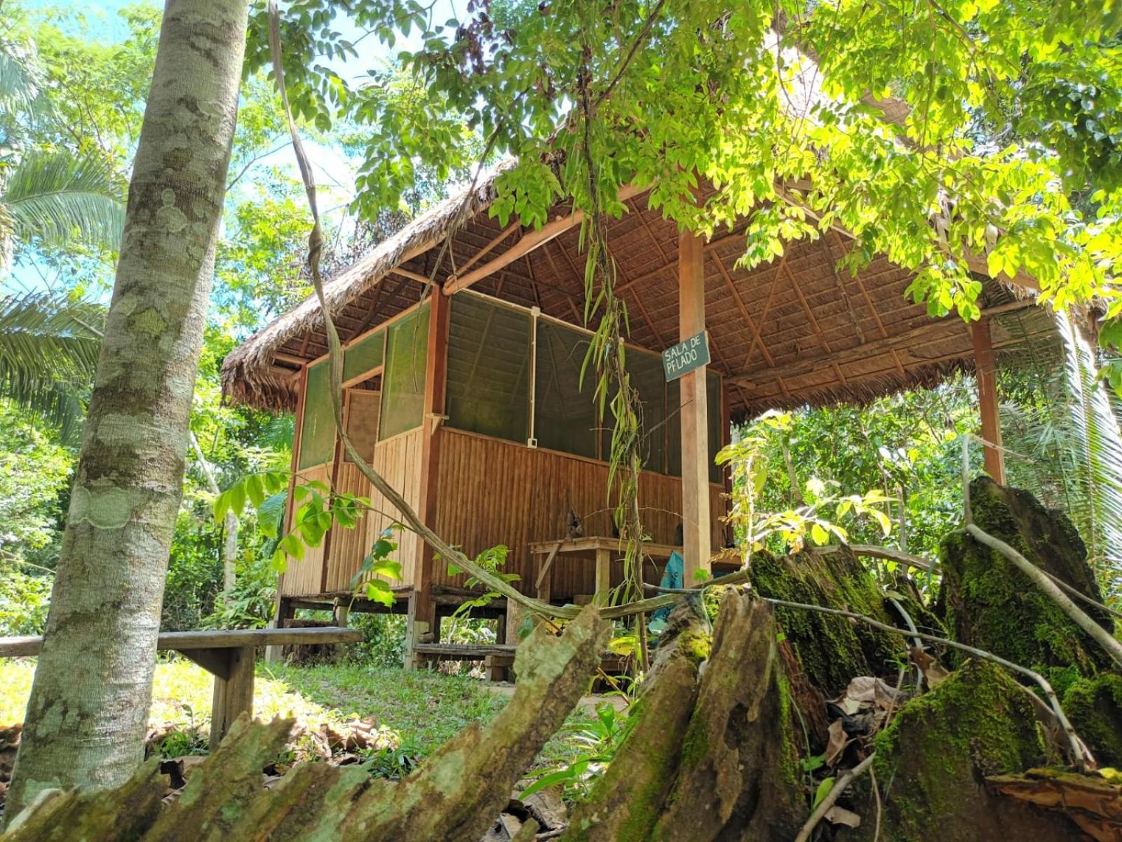 Auberge de jeunesse Castana Amazon Park à Puerto Maldonado Extérieur photo