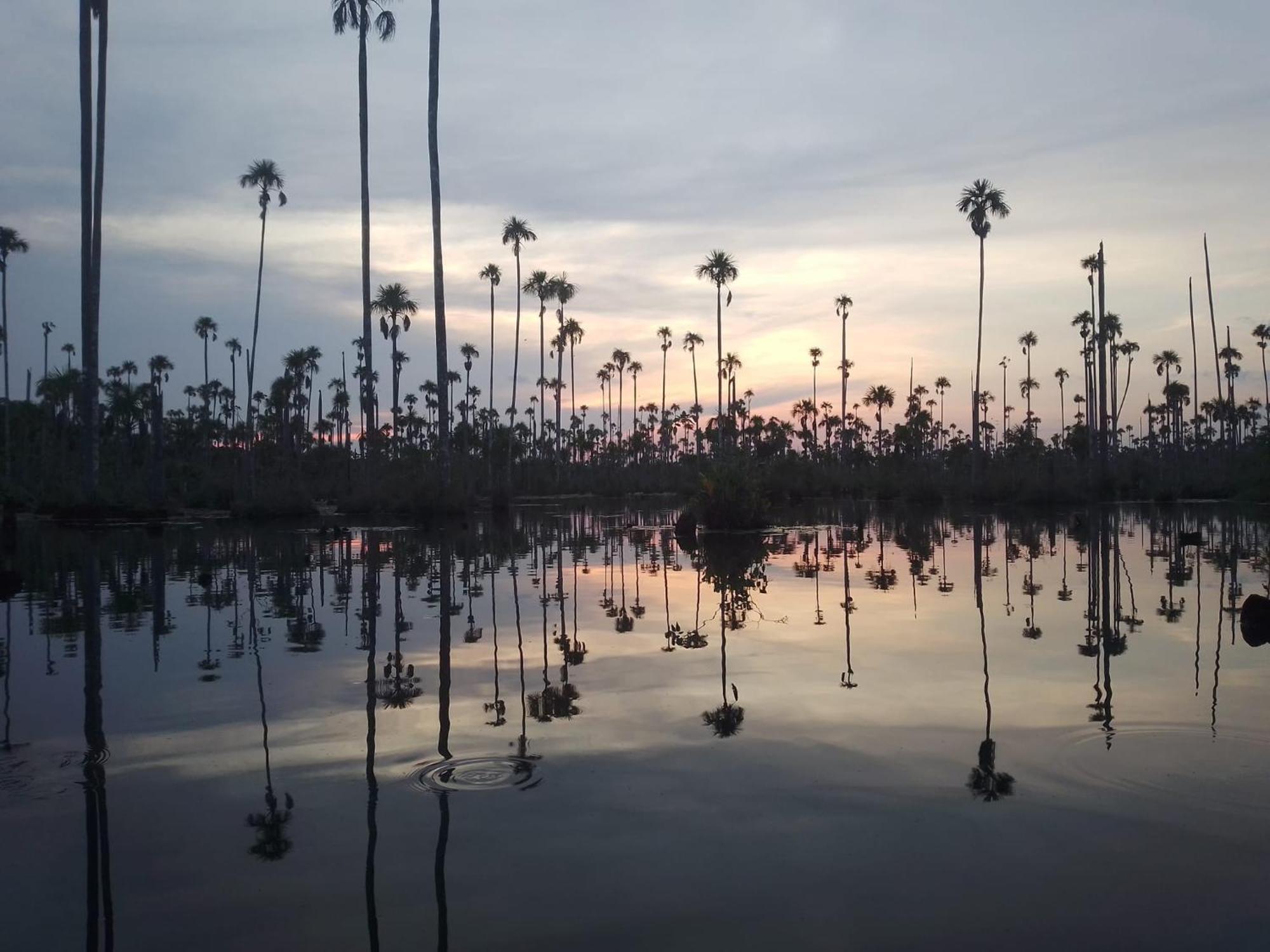 Auberge de jeunesse Castana Amazon Park à Puerto Maldonado Extérieur photo